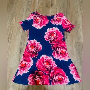 Floral Pink and Blue A Line dress